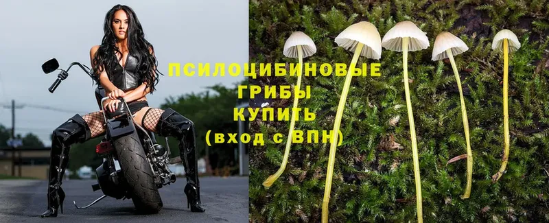 даркнет сайт  Высоцк  Галлюциногенные грибы Magic Shrooms 